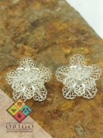 Momposina_Origo_Arteanias_Flores