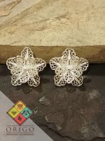 Momposina_Origo_Arteanias_Flores